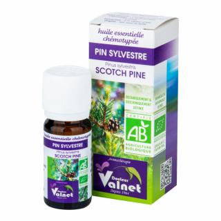 Éterický olej borovica 10 ml BIO   DOCTEUR VALNET
