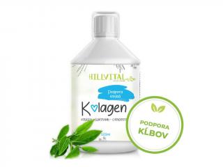 Hillvital Kolagén Kĺbová výživa - podpora kĺbov, 500 ml