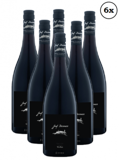 12x Pinot Noir Reserve Wachau 2019 (2kartóny) (Josef Dockner)