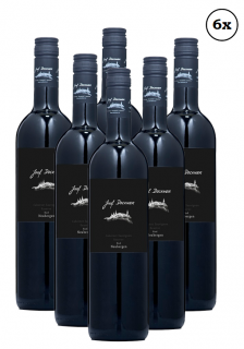 6x Cabernet Sauvignon Reserve Ried Neubergen 2019 (1kartón)