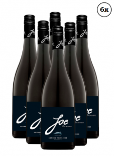 6x Grüner Veltliner Joe Reserve DAC 2021 (1kartón)