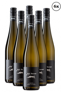 6x Grüner Veltliner Reserve Alte Reben Wachau 2021 (1kartón)