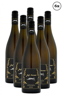 6x Grüner Veltliner Ried Gottschelle 2021 RESERVE 1ÖTW ERSTE LAGE (1kartón) ()