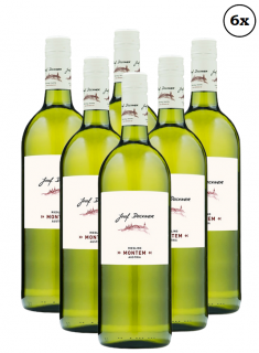 6x Riesling Montem 2020 (1kartón) (Josef Dockner Riesling 1l -)