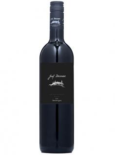 Cabernet Sauvignon Reserve Ried Neubergen 2019 (Červené víno)