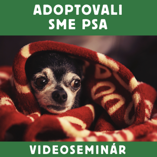 VIDEOSEMINAR – ADOPTOVALI SME PSA