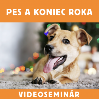 VIDEOSEMINAR – PES A KONIEC ROKA