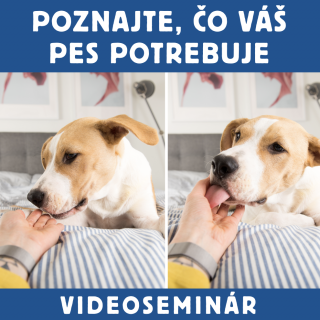 VIDEOSEMINAR – POZNAJTE, ČO VÁŠ PES POTREBUJE