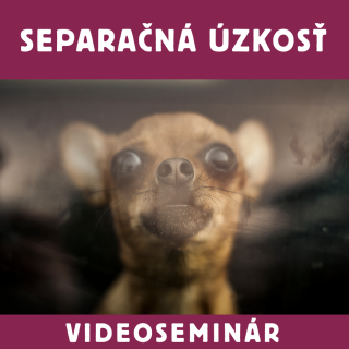 VIDEOSEMINAR – SEPARAČNÁ ÚZKOSŤ