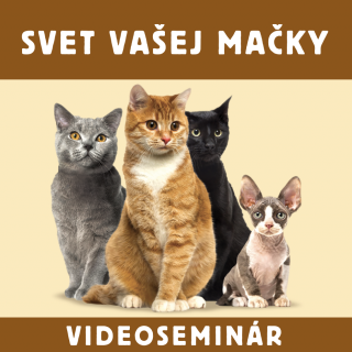 VIDEOSEMINAR - SVET VAŠEJ MAČKY