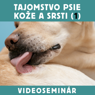 VIDEOSEMINAR – TAJOMSTVO PSIE KOŽE A SRSTI