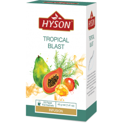 čaj porciovaný ovocný HYSON Tropical Blast - 40 g