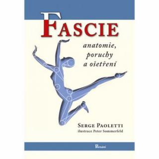 Fascie anatómia poruchy a ošetrenie