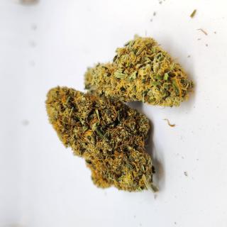 CBD Kvety - Fruit Cake 4G Vôňa sladkej oslavy v každom kvete s obsahom THC do 0.2% (Sladká chuť - CBD Kvety Fruit Cake 5G s obsahom THC do 0.2%)