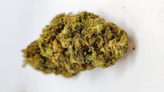 CBD Kvety - OG KUSH