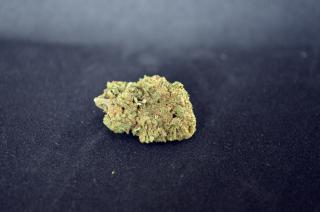 CBD kvety - White Widow