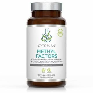 Cytoplan METHYL FACTORS - B1 betaín B2 B6 kyselina listová (L-metylfolát) vitamín B12 a zinok, 60 kapsúl