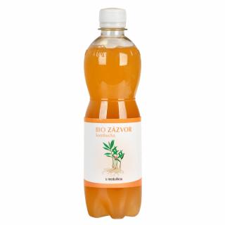 Stevikom Kombucha zázvorová s meduňkou 500 ml BIO   STEVIKOM