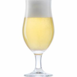 Pohár Beer Glass Thur Ritzenhoff 30 cl