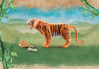 71055 - Tiger