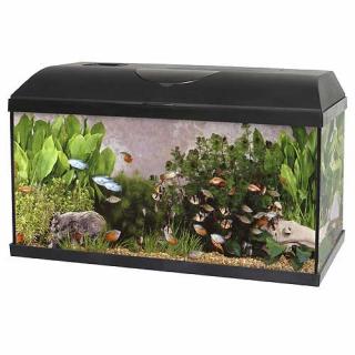 Pacific 60 akvárium 54 l s výbavou (Pacific 60 akvárium 54 l s výbavou 60x30x30cm 1x15W Eco)