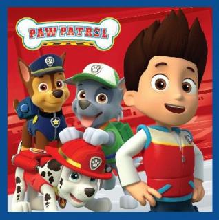 Uterák na ruky Paw Patrol Magic, uterák na tvár 30x30 cm