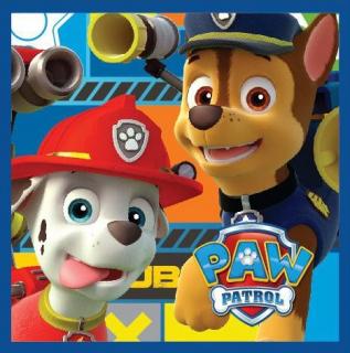 Uterák na ruky Paw Patrol Magic, uterák na tvár 30x30 cm