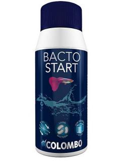 Colombo COLOMBO BACTO START 100ML (100L)