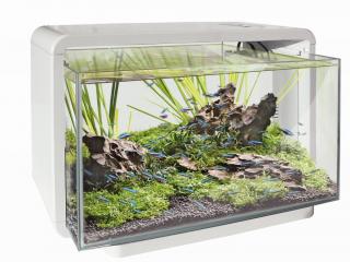 SuperFish AQUA SF HOME 30 AQUARIUM biele