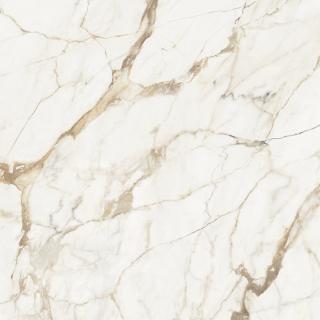 Calacatta Gold Polished 120x120