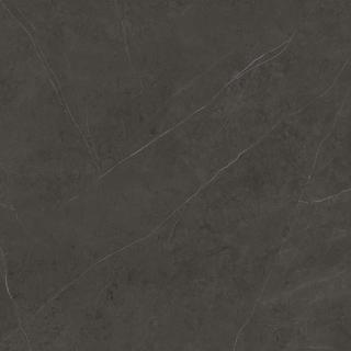 Liem Dark Polished 120x120