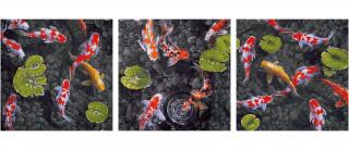 Koi - drahokamy v rybníku (40 x 120 cm) (Maľovanie podľa čísel - Schipper)