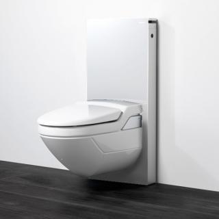 Geberit Monolith 131.032.SI.1 pre Geberit AquaClean 8000/8000plus s priamym hrdlom, výška 114 cm