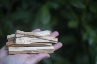 Vydymovadlo Palo Santo - 50 g (+15 g zdarma) v papierovej krabičke - Ecunative