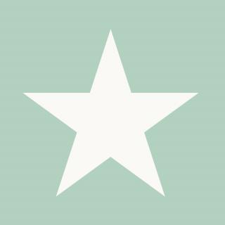 Tapeta Big Star mint green