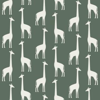 Tapeta Giraffes dark green