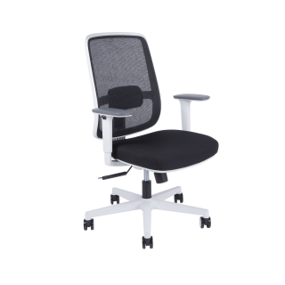 Office Pro CANTO WHITE BP ergonomická kancelárska stolička - biela, Farba Čierna sieťovina