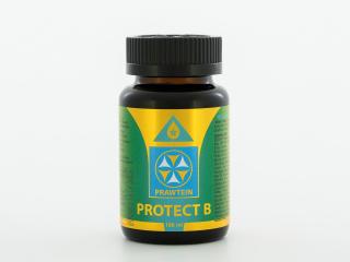 BEWIT PRAWTEIN PROTECT B