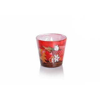 Bartek Candles Gingerbread with Cinnamon and Apple note 115 g