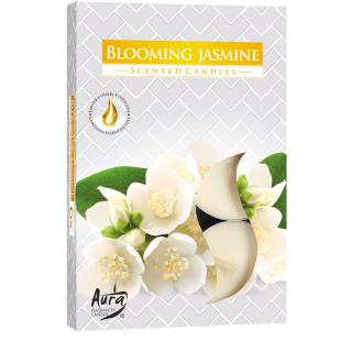 Bispol Čajové sviečky BLOOMING JASMINE 6 ks