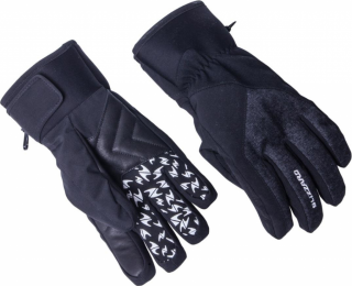 Blizzard Chamonix ski gloves black/grey