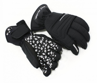 Blizzard World Cup ski gloves, black