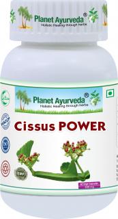 Cissus Power, 500mg 60 kapsúl