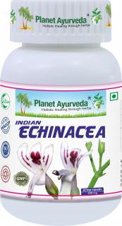 Indická Echinacea (Právenka latnatá), 500mg 60 kapsúl