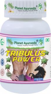 Tribulus Power, 500mg 60 kapsúl