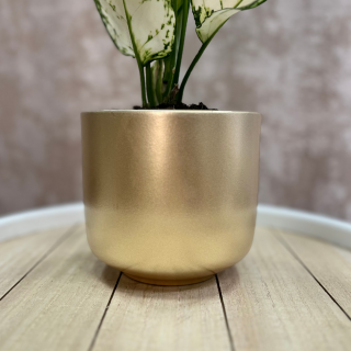 Kvetináč Gold Matte 2 veľkosti Veľkosť: 12 cm