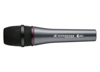 Sennheiser E865-S