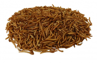 Mealworm - sušené múčne červy 250g