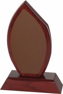 Plaketa SHIELD BRONZE (Plaketa SHIELD BRONZE)