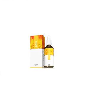 Gynex + Gynex = Sada 1+1 Energy (Gynex + Gynex koncentrát 30ml ENERGY)